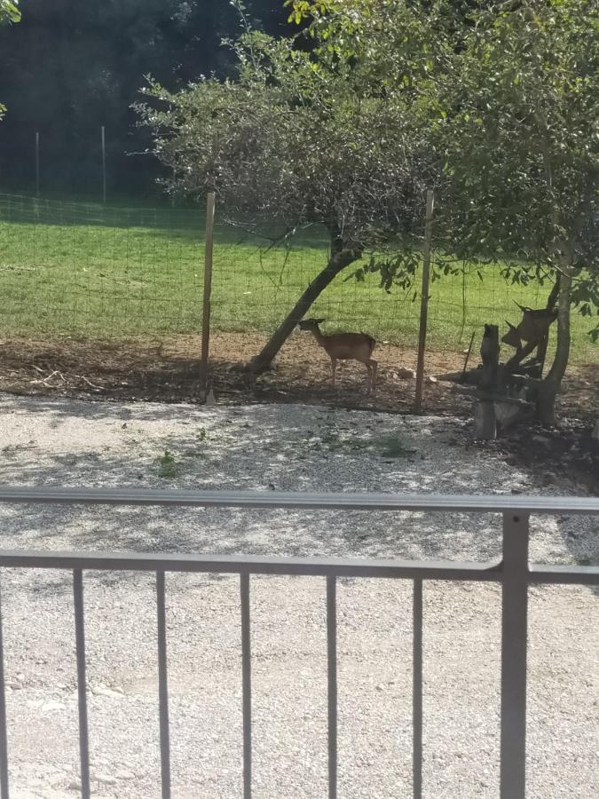 Alloggio E Agriturismo De Poanute Faedis Εξωτερικό φωτογραφία